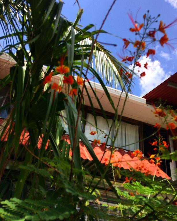 Flamingo Cabinas Hotel Playa Flamingo Exterior foto